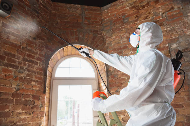 Best Emergency Mold Remediation  in La Grange, KY